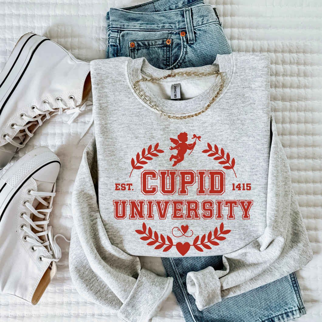 Cupid University Tee/Sweatshirt -ash