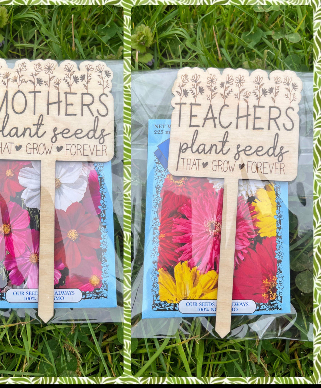Plant seeds gift