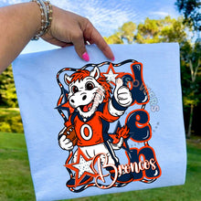 Load image into Gallery viewer, Retro frame Denver
